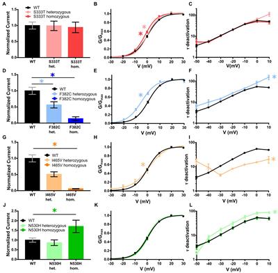 KCNC2 variants of uncertain significance are also associated to various forms of epilepsy